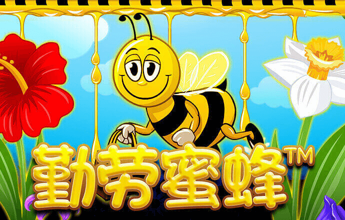 华体汇hth